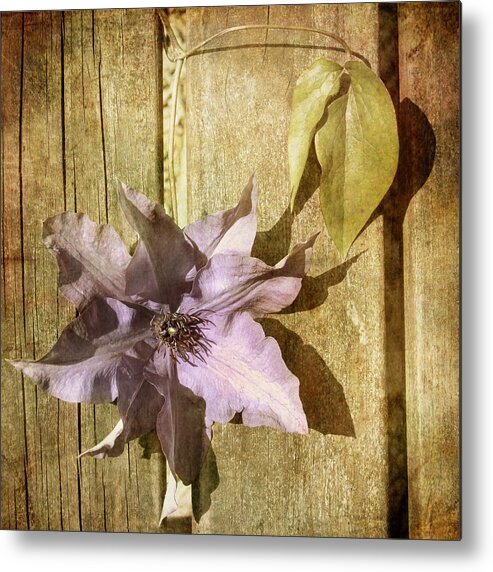 Texture Metal Print featuring the photograph Parchment ... by Dominic Moriarty