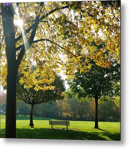 Park Metal Print featuring the photograph Park Bench by Luzia Light
