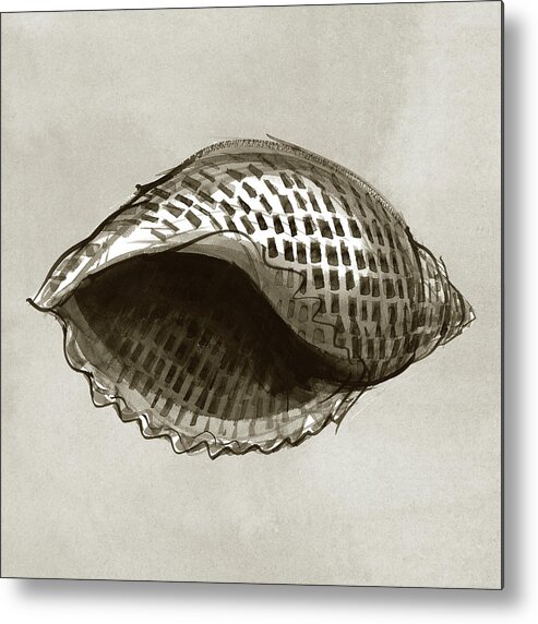 Seashell Metal Print featuring the painting Partridge Tun by Judith Kunzle