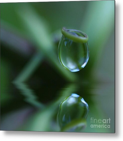 Beautiful Metal Print featuring the photograph Passion Drop by Kym Clarke