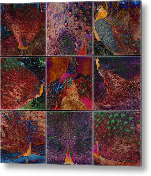 Birds Metal Print featuring the digital art Peacocks by Barbara Berney