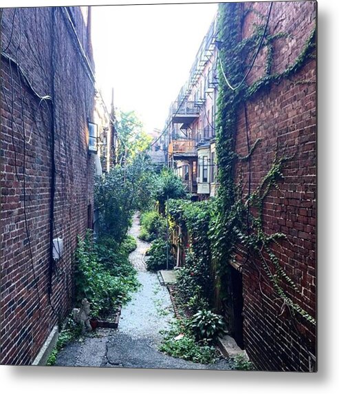 Visitma Metal Print featuring the photograph Peeking Through A Locked Gate by South End Boston