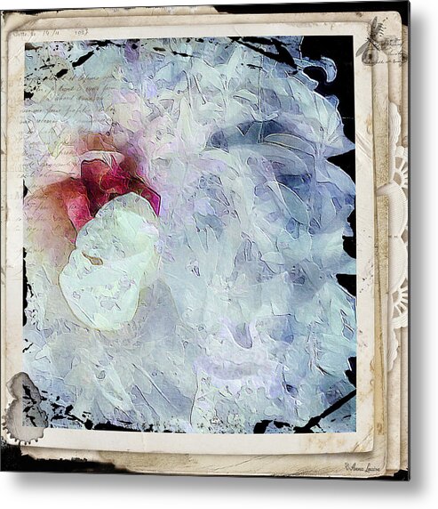 Peony Remember Metal Print featuring the photograph Peony Remember by Anna Louise