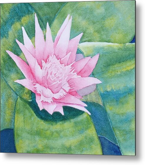 Floral Metal Print featuring the painting Pink Bromiliad by Judy Mercer