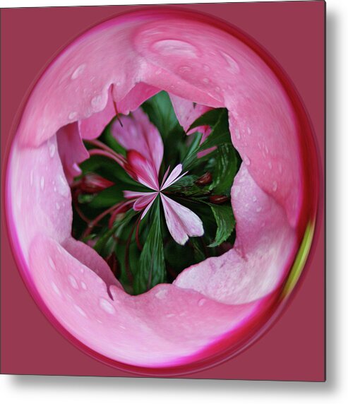 Pink Metal Print featuring the photograph Pink Orb by Bill Barber