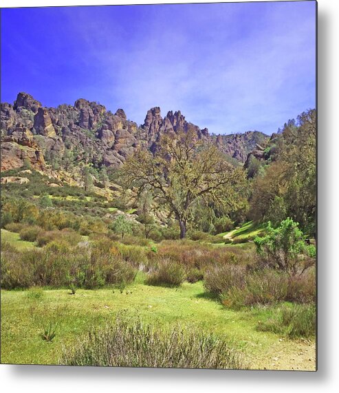 Pinnacles National Park Metal Print featuring the photograph Pinnacles National Park Watercolor by Art Block Collections