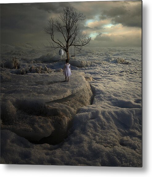 Snow Metal Print featuring the photograph Play with me by Tomasz Zaczeniuk