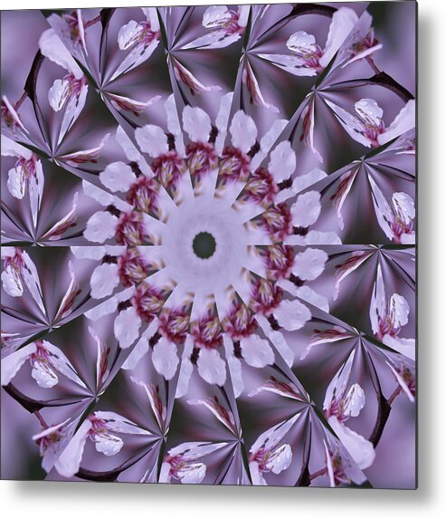 Plum Tree Metal Print featuring the photograph Plum Tree Kaleidoscope by Bill Barber