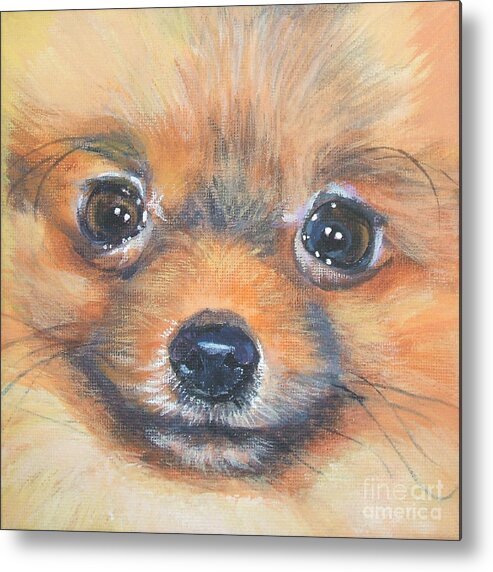 Pomeranian Metal Print featuring the painting Pomeranian Close up by Lee Ann Shepard