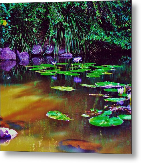 Pond Of Tranquility Metal Print featuring the photograph Pond of Tranquility by Blair Stuart