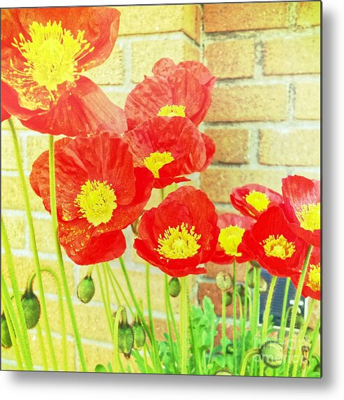 Poppies Metal Print featuring the photograph Poppyfied by Onedayoneimage Photography
