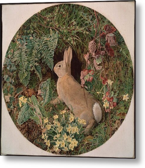 Rabbit Amid Ferns And Flowering Plants Metal Print featuring the painting Rabbit amid Ferns and Flowering by MotionAge Designs