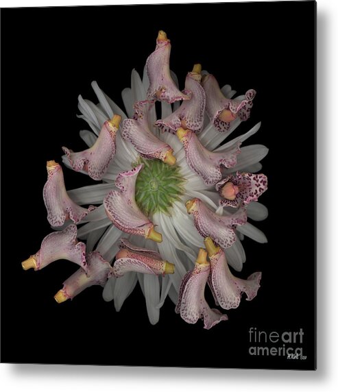  Metal Print featuring the photograph Random Sample by Heather Kirk