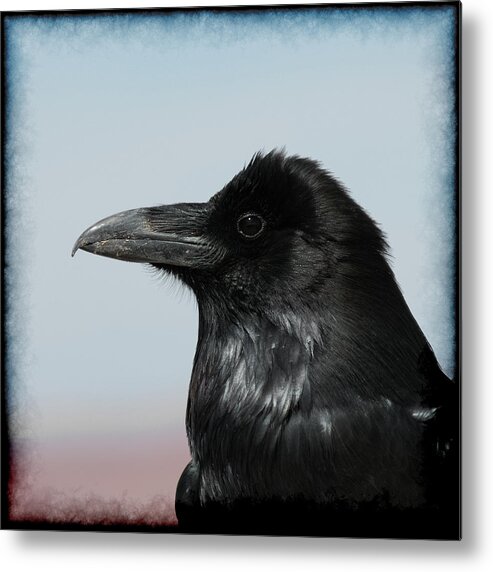Raven Metal Print featuring the photograph Raven Profile by Ernest Echols