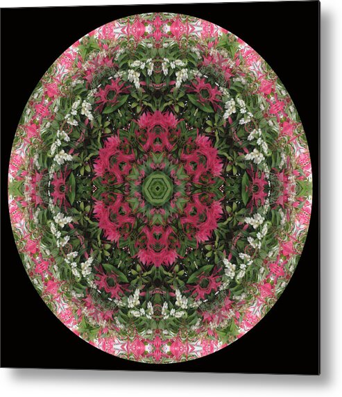 Red Flowers Metal Print featuring the digital art Red Flower Faces Kaleidoscope by Julia L Wright