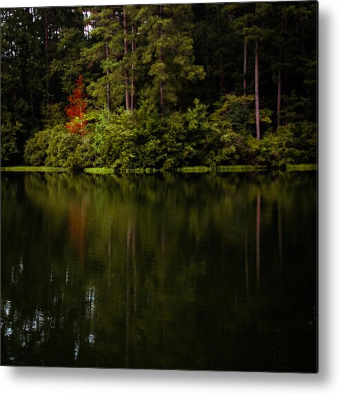 Oak Mountain Metal Print featuring the photograph Red in Square by Parker Cunningham