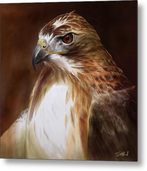 Redtailed Hawk Art Metal Print featuring the painting RedTailed Hawk Portrait by Steve Goad