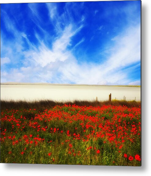 Poppies Metal Print featuring the photograph Remember Summer by Philippe Sainte-Laudy