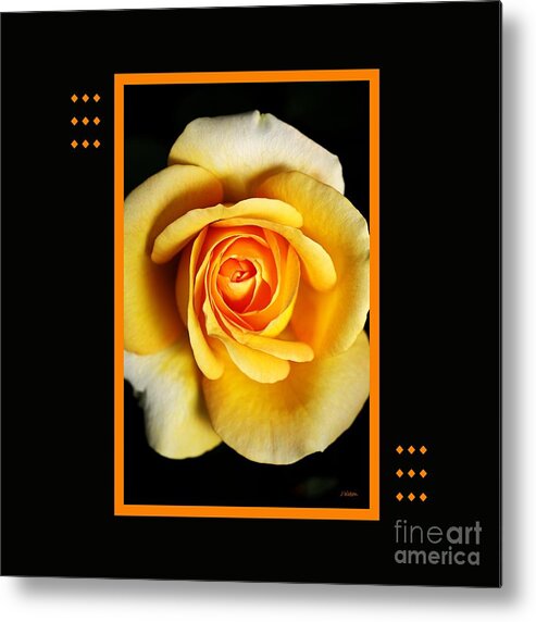Rose Metal Print featuring the photograph Rich And Dreamy Yellow Rose With Design by Joy Watson