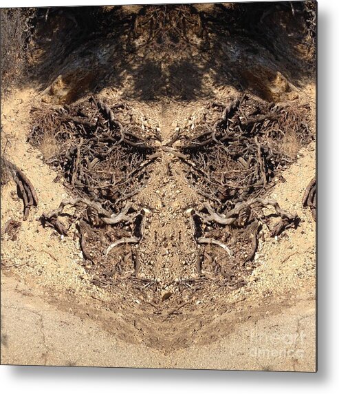 Butterfly Metal Print featuring the photograph Roots by Nora Boghossian