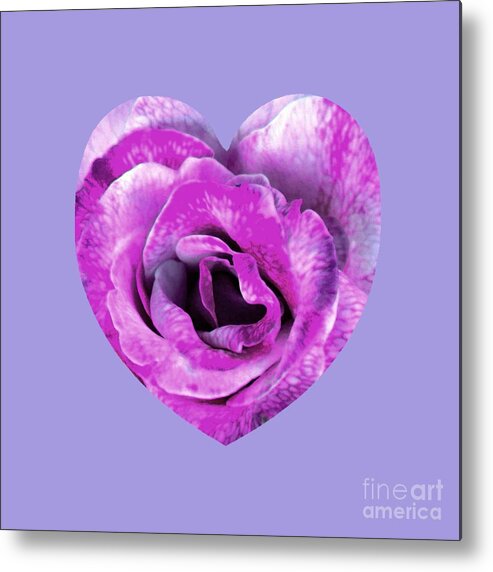 Heart Metal Print featuring the photograph Rose Nepenthe Heart by Mars Besso