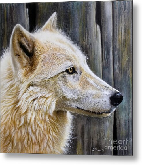 Wolves Metal Print featuring the painting Rose by Sandi Baker