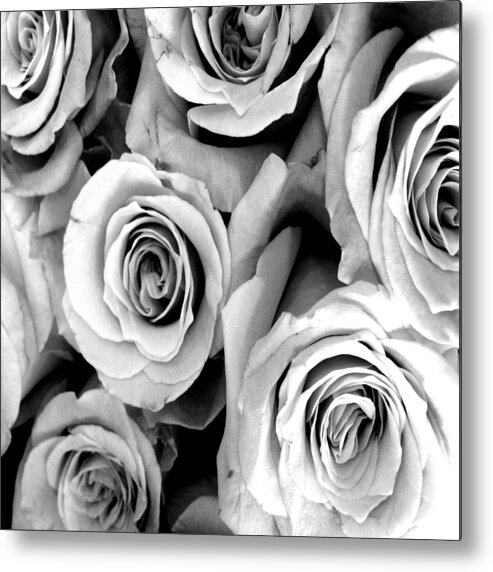 Roses Metal Print featuring the photograph Roses - Black and White by Marianna Mills