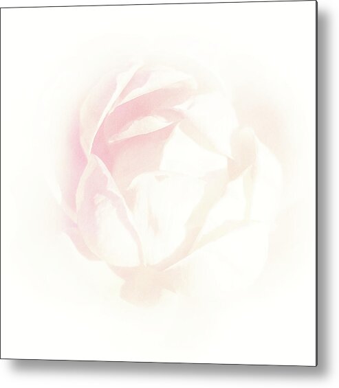 Rose Metal Print featuring the photograph Roses Have Thorns by Iryna Goodall