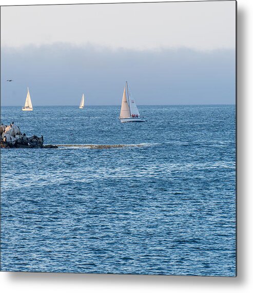 Sailing Metal Print featuring the photograph Sailing on the Bay by Derek Dean