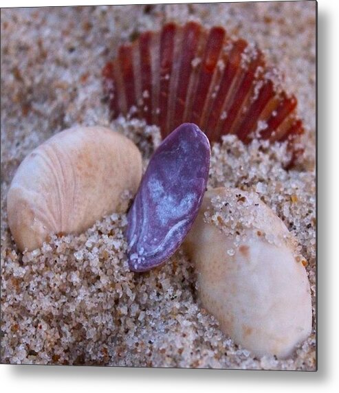 Shell Metal Print featuring the photograph Sand and Shells by Justin Connor