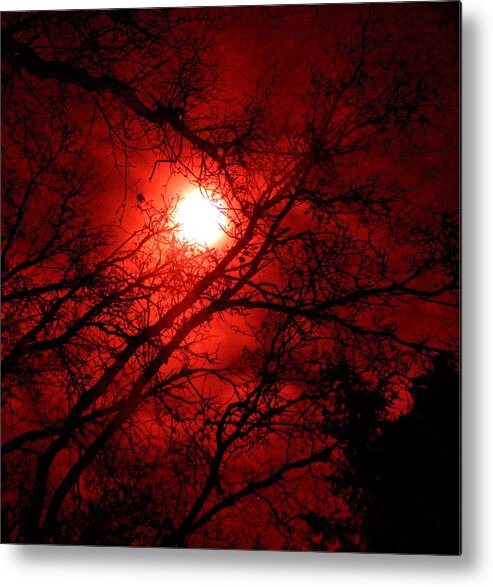 Moon Metal Print featuring the photograph Seeing Red by Andy Wingerd
