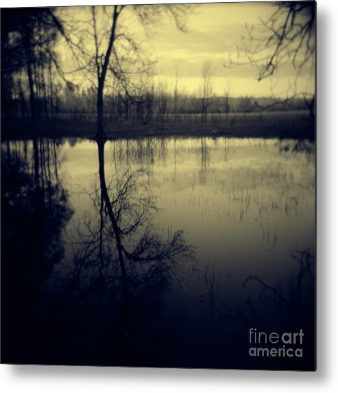 Landscape Metal Print featuring the photograph Series Wood and Water 5 by RicharD Murphy