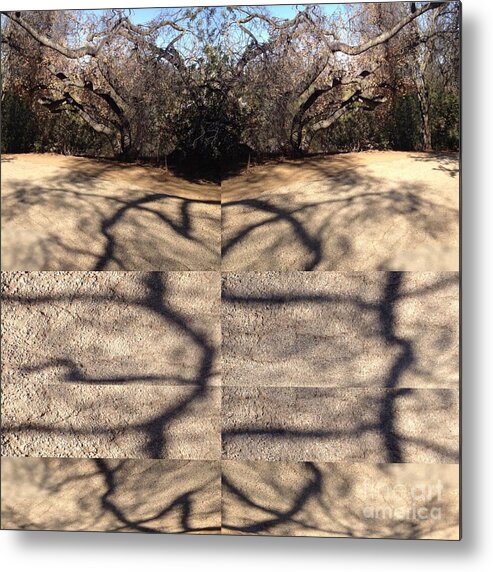 Tree Metal Print featuring the photograph Shadow Crack Lines by Nora Boghossian