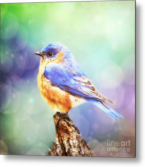 Bluebird Metal Print featuring the mixed media Silent Reverie by Tina LeCour