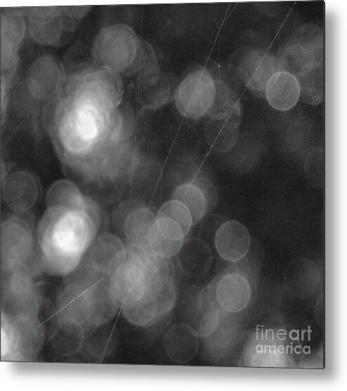 Spider Webs Metal Print featuring the photograph Silk Webs by Barry Bohn