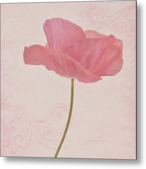Poppy Metal Print featuring the photograph Single Pink Upright Poppy by Sandra Foster