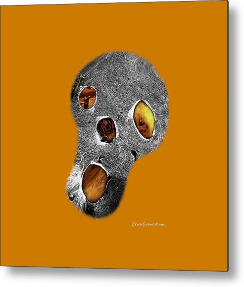 Texas Metal Print featuring the photograph Skull Burn by Erich Grant