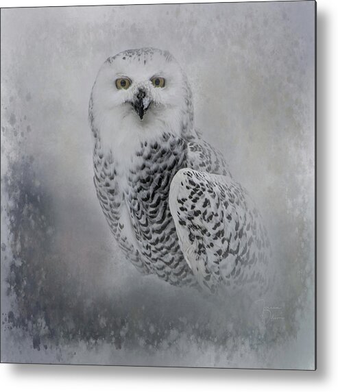 Owl Metal Print featuring the photograph Snowy Owl Portrait by Teresa Wilson