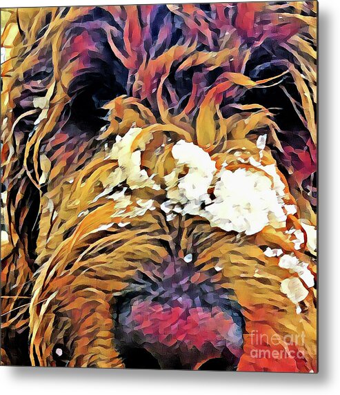Puppy Metal Print featuring the photograph Snowy Pup by Xine Segalas