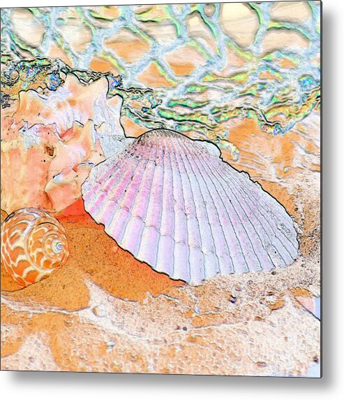 Shell Metal Print featuring the photograph Sometimes I Dream by Betty LaRue