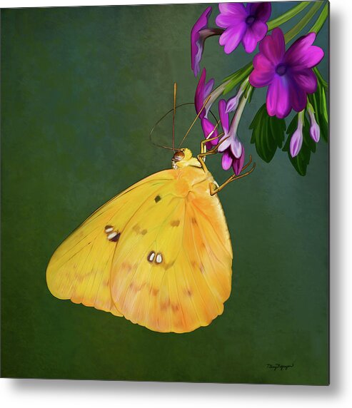 Butterfly Metal Print featuring the digital art Southern Dogface butterfly by Thanh Thuy Nguyen