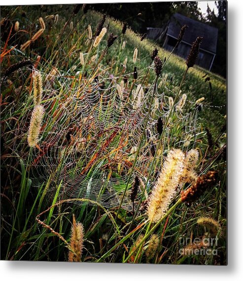 Spider Metal Print featuring the photograph Spiderweb by Angela Rath