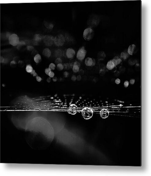 Lightful_nature Metal Print featuring the photograph Spiderweb No 2
covered In Early by Brian Carson