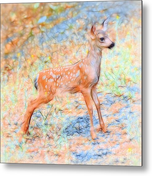 Spotted Fawn Metal Print featuring the photograph Spotted Fawn by Patrick Witz