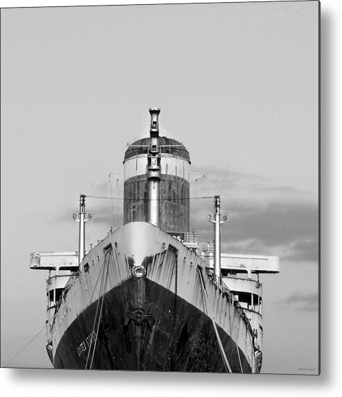 Ssus Metal Print featuring the photograph Ssus by Dark Whimsy