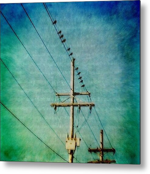 Birdsonaline Metal Print featuring the photograph Birds on a Line by Joan McCool