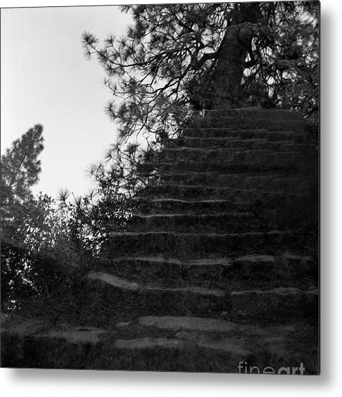 Tree Metal Print featuring the photograph Stairway To Heaven-Signed-#001 by J L Woody Wooden