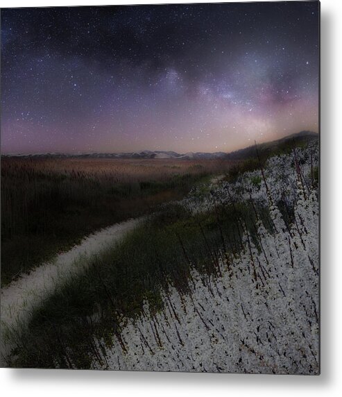 Square Metal Print featuring the photograph Star Flowers Square by Bill Wakeley