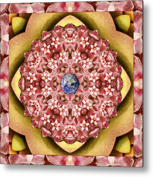 Mandalas Metal Print featuring the photograph Stelliform by Bell And Todd