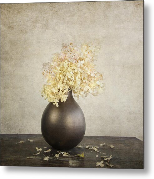Classic Still Life Metal Print featuring the photograph Still Life With Hydrangea by Theresa Tahara